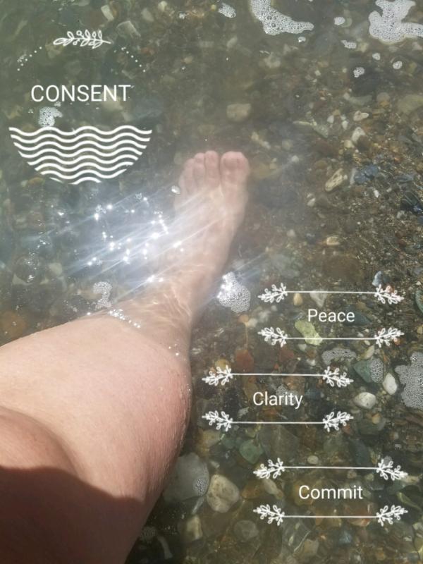 Consent Braunstorm