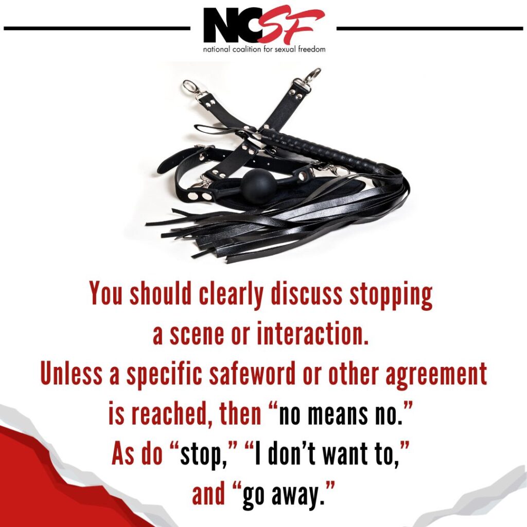 Leather ball gag and whip with caption: You should clearly discuss stopping a scene or interaction. Unless a specific safeword or other agreement is reached, then "No means no". as to "stop, "I don't want to" and "go away"