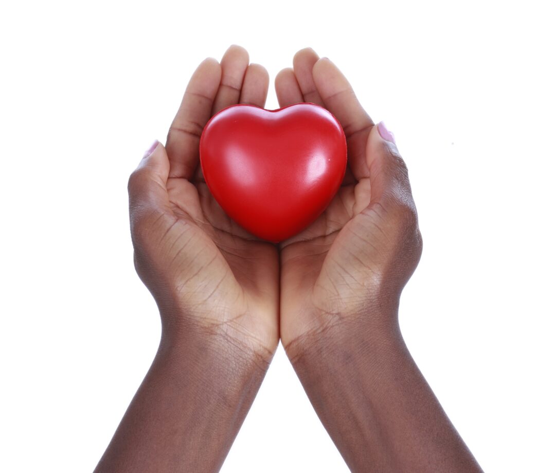 NCSF Thanks You! 4th Quarter Donation 2023 Report