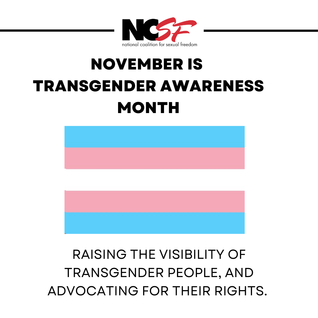 Celebrate Transgender Awareness in November!
