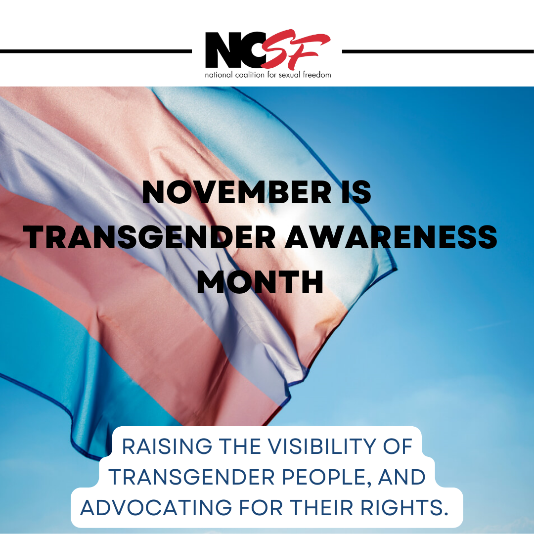 Guest Blog – Getting Off on Pleasuring Others: Trans/Nonbinary Responses to Relational Injury